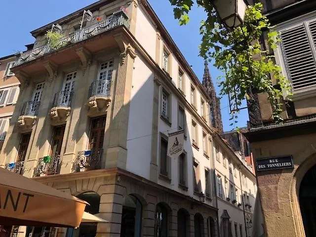 Hyper Centre Cathedrale דירה *