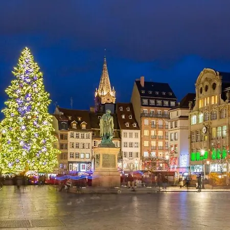 Appartement Hyper Centre Cathedrale *